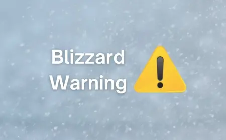 Blizzard warning and blowing-snow advisory hit southern Ontario as bus cancellations loom