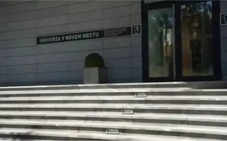 Government Decision Brings Novo Mesto University Closer to Launch