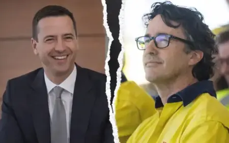 Exploring Rio’s Impact on Cinema