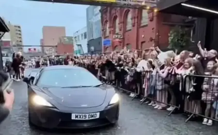 Parents Protest £38 Ticket for Child’s Extravagant Birthday Party