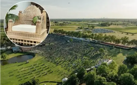 Jimmy Barnes Concert Transforms Seating with Outdoor Bali Setting for Crowd Comfort