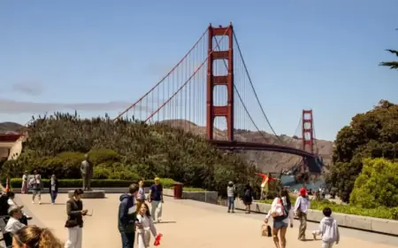 U.S. Travel Decline Expected to Persist