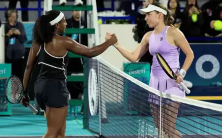 Ekaterina Alexandrova, Katie Boulter, Emma Raducanu Reach WTA Finals