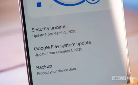 Google Addresses November Play System Update Glitch