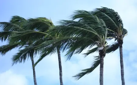 High Wind Warning and Extreme Cold Warning Expand as Polar Vortex Forecast Drives Dangerous Wind Chills Across the Eastern U.S.