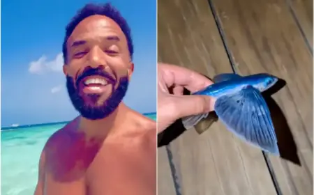 Craig David’s Flying Fish Rescue Effort Ends in Hilarious Failure