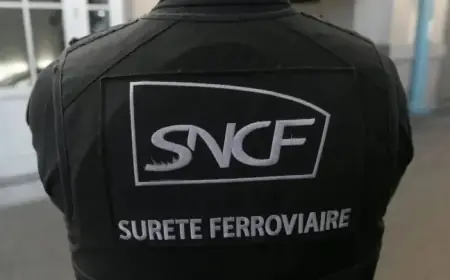 Lyon: Woman Assaults Police After Hiding in Restroom During SNCF Check