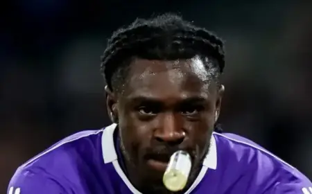 Fiorentina vs Torino Match Preview: Key Insights and Analysis