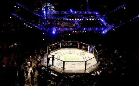 UFC Fight Night: Expert Predictions for Bautista vs. Oliveira