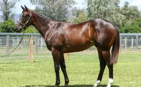 Riversdale Showcases Premium Classic Collection