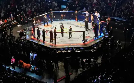 Almeida vs Kuniev: Expert Predictions, Picks, and Odds Analysis