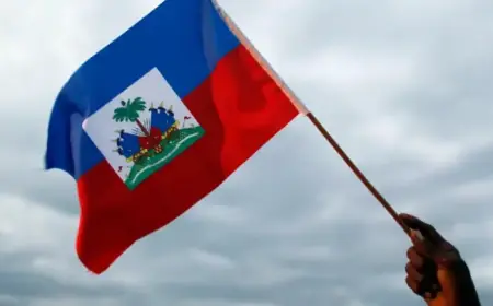 Florida Charity Aircraft Vanishes Over Haitian Mountains