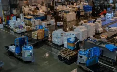 Understanding Japan’s Economy on Election Day: Key Insights