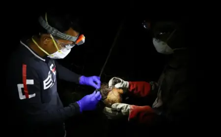 WHO Confirms Fatal Nipah Virus Case in Bangladesh