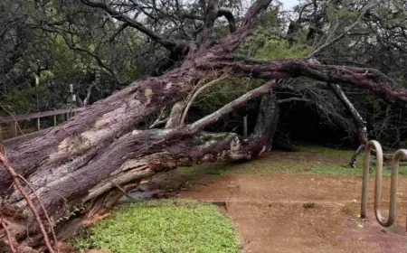 Mayor Bissen Issues Emergency Proclamation for Impending Severe Weather