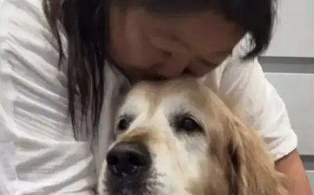 RecipeTin Eats’ Beloved Dog Dozer Passes Away