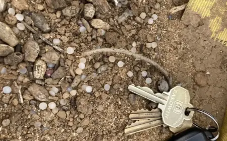 San Diego Railroad Agrees to Control ‘Nurdle’ Pollution