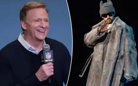 Roger Goodell’s NFL Design Leaves Fans Feeling Unsettled