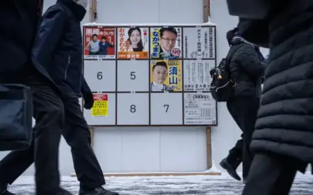 Japan Election Hit by Heavy Snow, Early Polling Station Closures