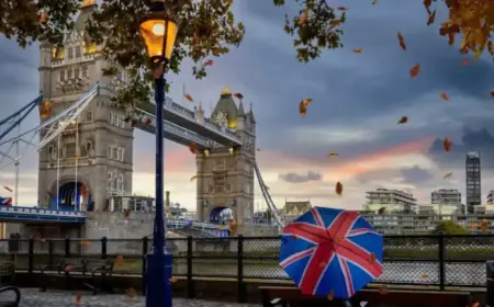 5-Stock Portfolio Delivers Monthly Passive Income