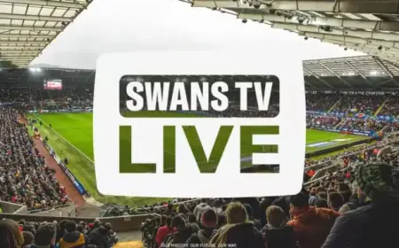 How to Watch or Listen: Swansea City vs. Sheffield Wednesday