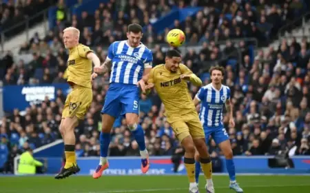 Brighton vs Crystal Palace: Live Premier League Updates