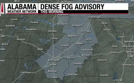 Dense Fog Advisory spreads across multiple regions on Feb. 8, complicating travel