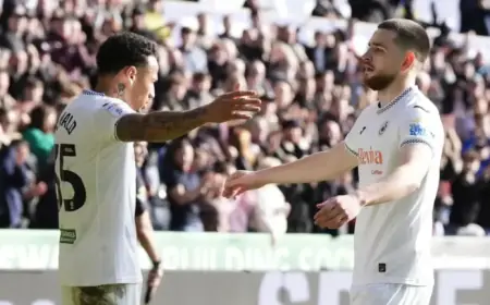 Swansea City’s Vipotnik Scores Twice in Dominant 4-0 Win Over Sheffield Wednesday