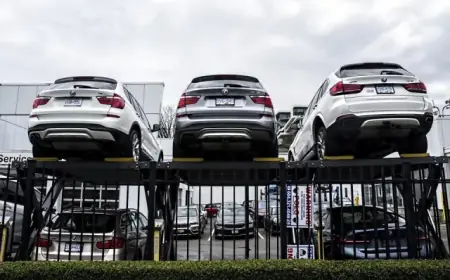 Should British Columbia Reinstate EV Rebates Following Federal Example?