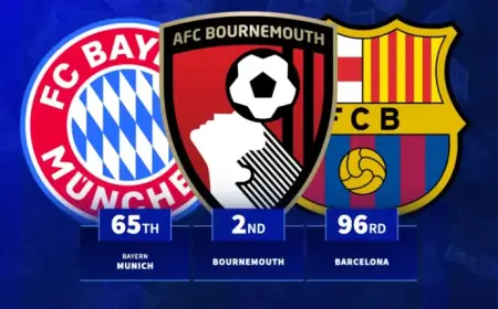 Ligue 1 Clubs Lead in 25/26 Season Transfer Profits: See Top Earners