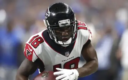 Former Falcons WR Jokingly Mocks NFL Over Super Bowl 51 Flashback Post