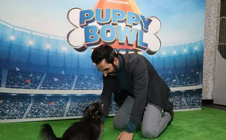 Puppy Bowl 2026: When it is, what time it starts, and how to watch and adopt