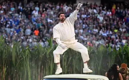 Celebrities Shine at Super Bowl Halftime Show and Stands