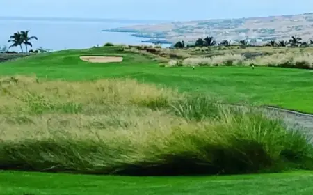 Hawaii County Weather Prediction for February 3, 2026