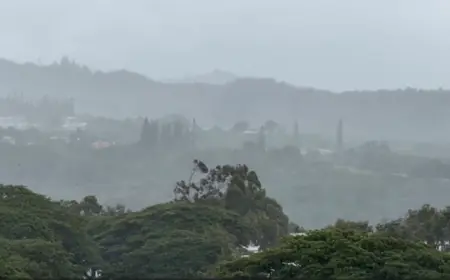 Hawaii Closes Statewide Amid Severe Weather Threat