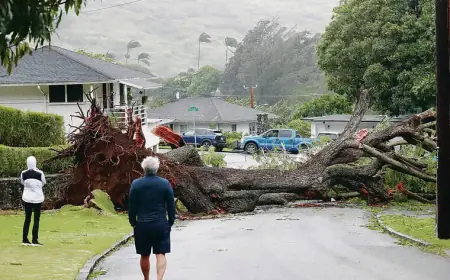 Severe Weather Forces Closure of State, DOE Schools, and UH Campuses