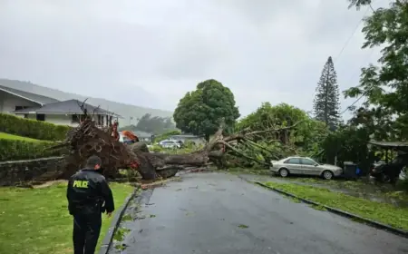 Hawaiʻi Storm Update: State Closes, Thousands Face Power Outages
