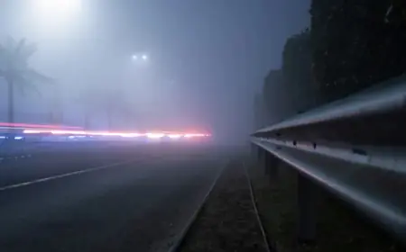 Foggy Evening at 44°F Follows Moderate Rain on Cool Day