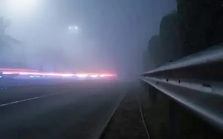 Cool Day Ends with Foggy Evening at 44°F After Moderate Rain