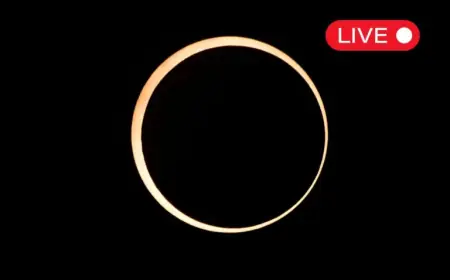 Live Updates: February 2026 Annular ‘Ring of Fire’ Solar Eclipse