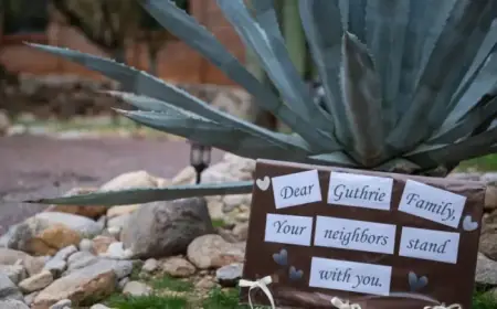 Search Intensifies for Abducted Nancy Guthrie Amid Sparse Leads