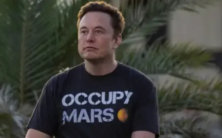 Musk Takes Unconventional Steps After Mars Mission Stalls