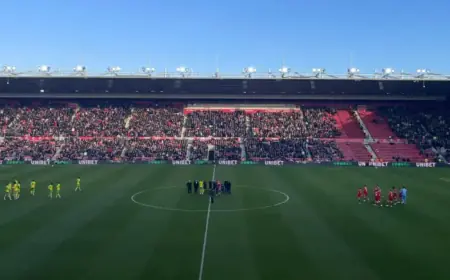 Newcastle Official Scouts £30m Championship Star – Report