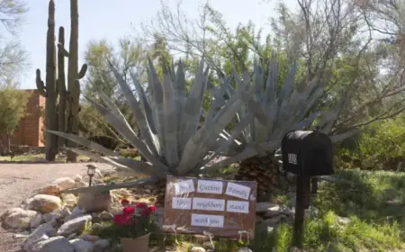 Savannah Guthrie Expresses Hope: ‘Our Mom Is Still Out There’