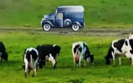 Brain Training Game Could Shield Against Dementia for 20 Years