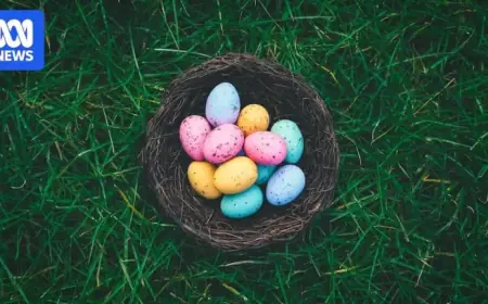 Government Tightens Investment Scheme Regulations Following Major Fund Collapses