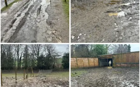 Bridgnorth Rescue Centre Temporarily Shuts Down After £50,000 Weather Damage