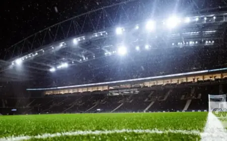 FC Porto Rules Out Postponing Match with Sporting Despite Dragão Fog