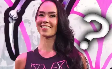 WWE’s Current Plans for AJ Lee Revealed