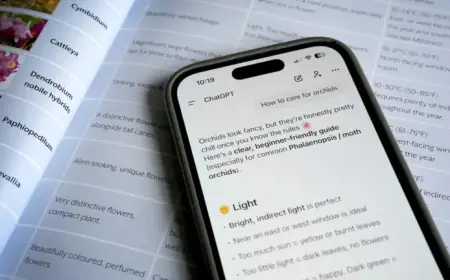 Understanding “GPT” in ChatGPT: What It Really Means